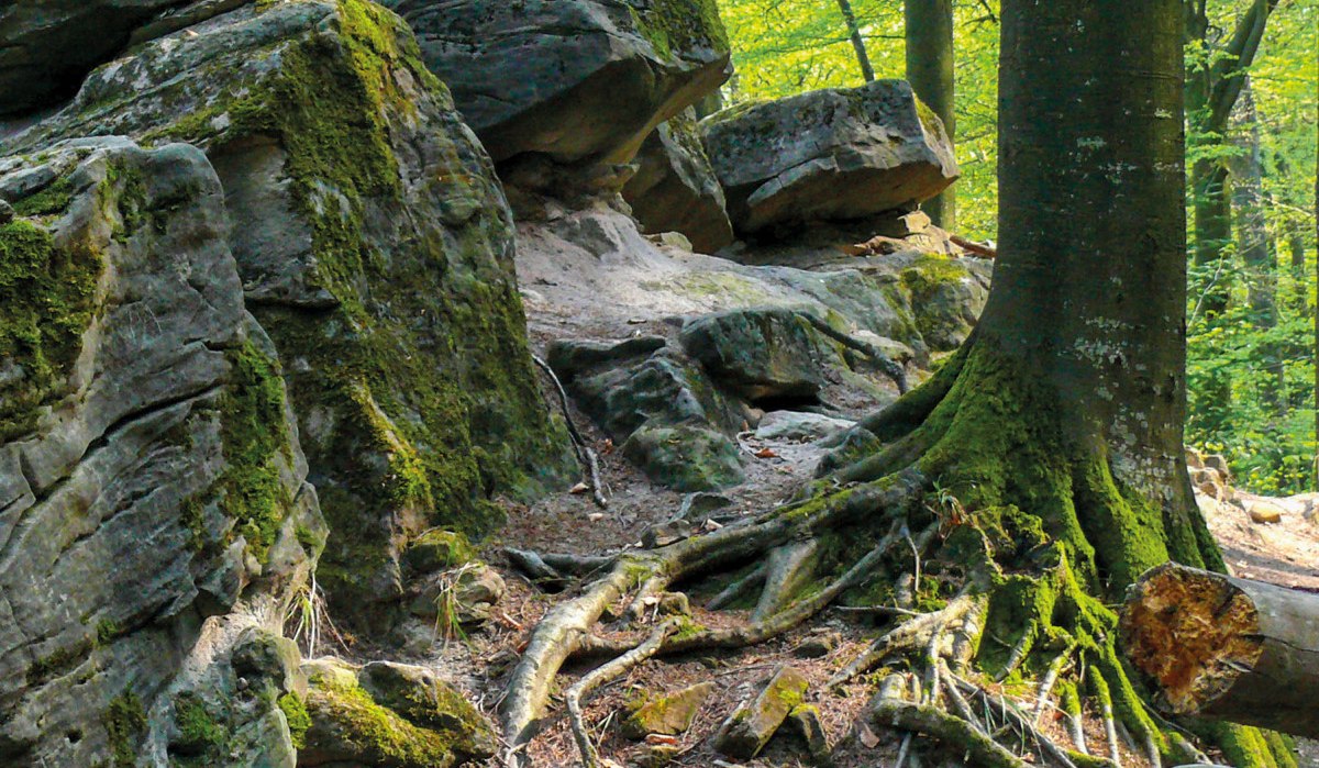 Feenspuren | Premiumspazierwanderweg Felsenmeer - Premiumwanderweg mit Start in Murrhardt, © SWT - Jan Bürgermeister
