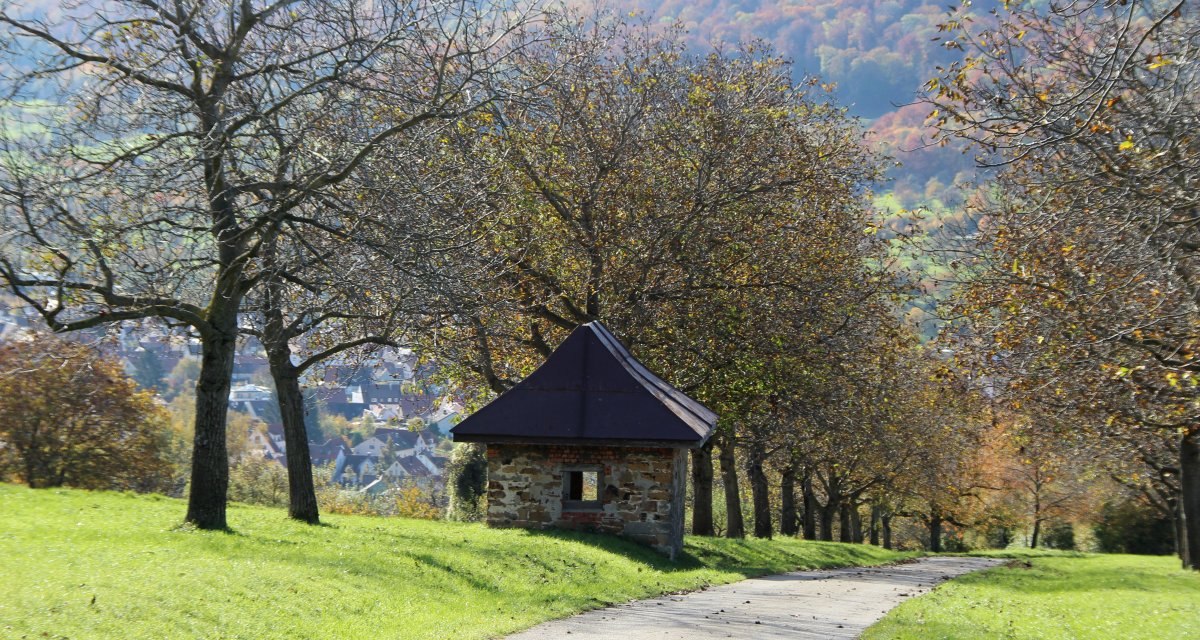 Kleines Steinhäuschen mit spitzem Dach an einem Weg, umgeben von Bäumen und grüner Wiese, Dorf im Hintergrund sichtbar., © Gemeinde Dettingen an der Erms Kleines Steinhäuschen mit spitzem Dach an einem Weg, umgeben von Bäumen und grüner Wiese, Dorf im Hintergrund sichtbar., © Gemeinde Dettingen an der Erms