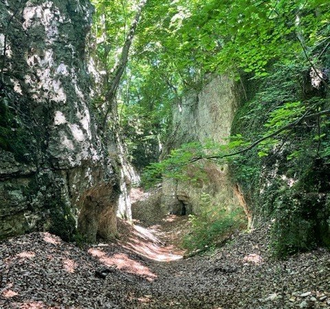 Gästewanderung Gästewanderung