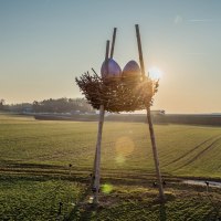 Ein großes Vogelnest mit zwei Eiern steht auf hohen Stelzen in einer grünen Landschaft bei Sonnenuntergang., © Natur.Nah. Schönbuch & Heckengäu