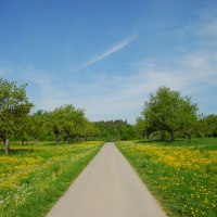 Ein schmaler Weg führt durch eine grüne Wiese mit blühenden Bäumen und gelben Blumen unter einem blauen Himmel., © Stadt Schorndorf