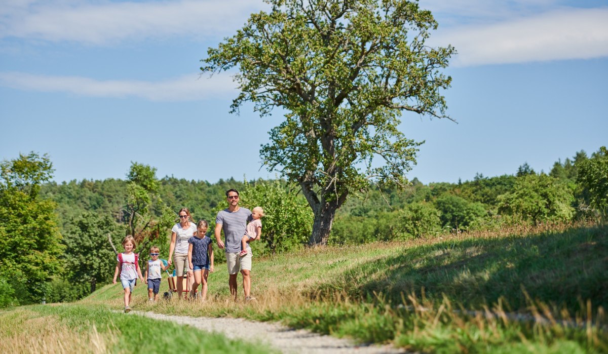Eine Familie spaziert auf einem Feldweg durch eine grüne Landschaft. Ein großer Baum steht im Hintergrund, der Himmel ist blau mit wenigen Wolken., © Natur.Nah. Schönbuch & Heckengäu Eine Familie spaziert auf einem Feldweg durch eine grüne Landschaft. Ein großer Baum steht im Hintergrund, der Himmel ist blau mit wenigen Wolken., © Natur.Nah. Schönbuch & Heckengäu