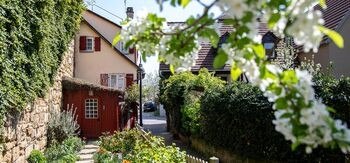 Gässlestour, © Für die Bildrechte: Amt für Medien und Kommunikation Schwäbisch Gmünd Gässlestour, © Für die Bildrechte: Amt für Medien und Kommunikation Schwäbisch Gmünd