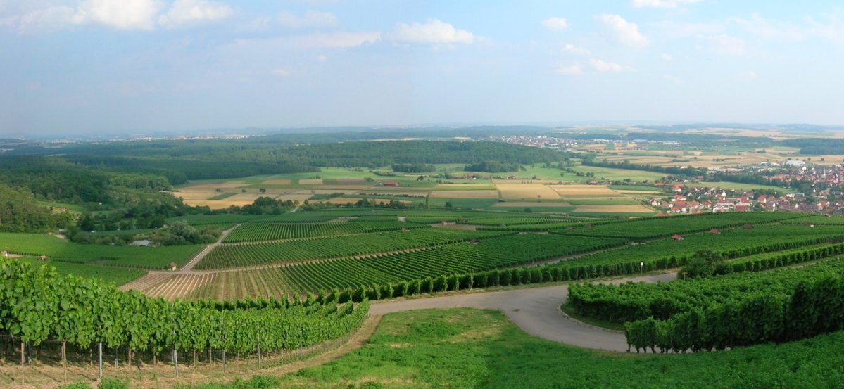 Weitläufige Weinberge in Horrheim mit grünen Reben, einem kurvigen Weg und einem Dorf im Hintergrund unter blauem Himmel., © Land der 1000 Hügel - Kraichgau-Stromberg Weitläufige Weinberge in Horrheim mit grünen Reben, einem kurvigen Weg und einem Dorf im Hintergrund unter blauem Himmel., © Land der 1000 Hügel - Kraichgau-Stromberg