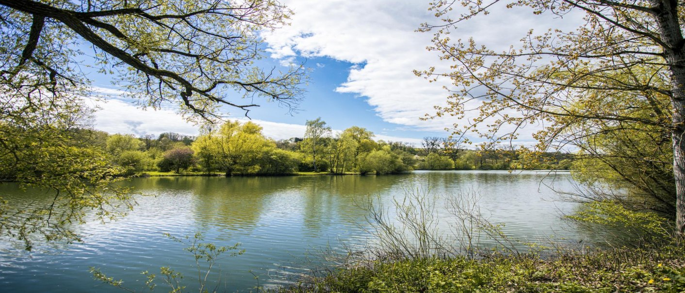 Weitwinkelaufnahme des Beutwangsees in Nürtingen. Der See ist von grünen Bäumen umgeben, der Himmel ist blau mit einigen Wolken., © SMG, Sarah Schmid