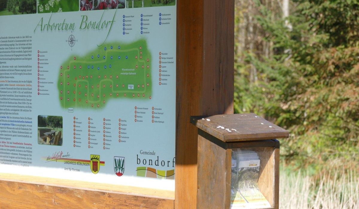 Infotafel des Arboretums Bondorf mit Karte, Text und einem Fach für Broschüren. Im Hintergrund sind Bäume zu sehen., © Natur.Nah. Schönbuch & Heckengäu Infotafel des Arboretums Bondorf mit Karte, Text und einem Fach für Broschüren. Im Hintergrund sind Bäume zu sehen., © Natur.Nah. Schönbuch & Heckengäu