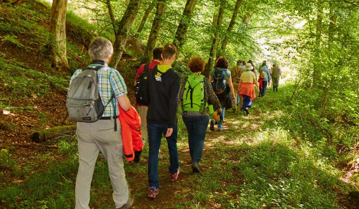 Eine Gruppe von Wanderern geht auf einem schattigen Waldweg entlang, umgeben von dichtem Grün. Sie tragen Rucksäcke und Freizeitkleidung., © Natur.Nah. Schönbuch & Heckengäu