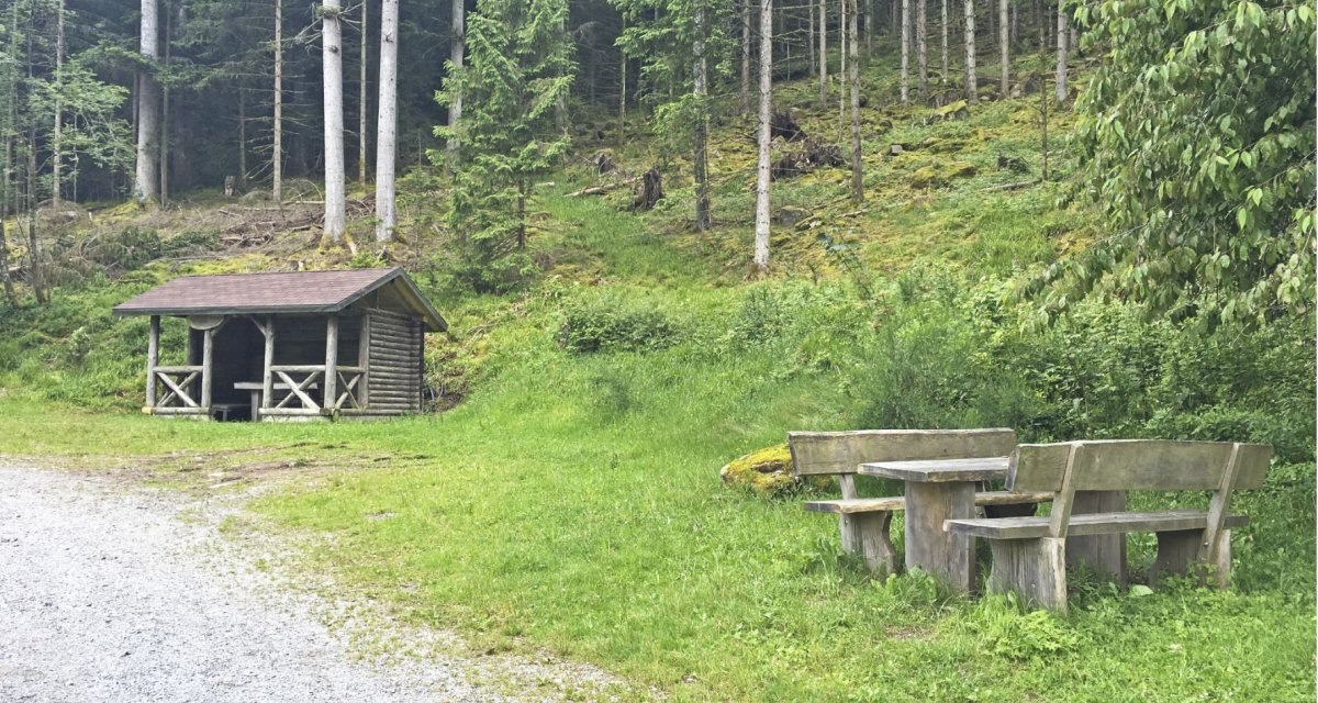 Holzhütte und Picknicktisch im Wald, umgeben von hohen Bäumen und grünem Gras., © www.pro-cycl.de Holzhütte und Picknicktisch im Wald, umgeben von hohen Bäumen und grünem Gras., © www.pro-cycl.de