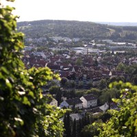 Blick vom Weinberg auf Metzingen: Im Vordergrund Weinreben, dahinter D&auml;cher der Stadt und gr&uuml;ne H&uuml;gel im Hintergrund.