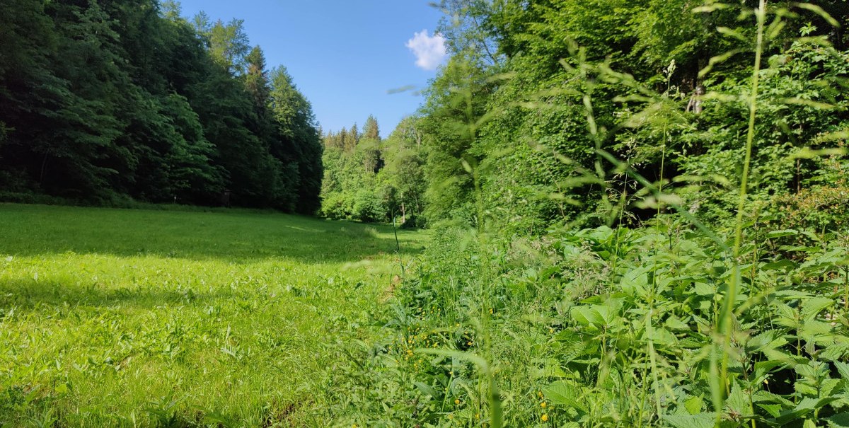 Stilles Weidetäle, © Bad Urach Tourismus