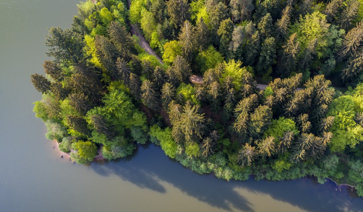 Luftaufnahme eines bewaldeten Ufers am Herrenbachstaussee. Dichte Bäume mit grünem Laub grenzen an das ruhige Wasser des Sees. Luftaufnahme eines bewaldeten Ufers am Herrenbachstaussee. Dichte Bäume mit grünem Laub grenzen an das ruhige Wasser des Sees.