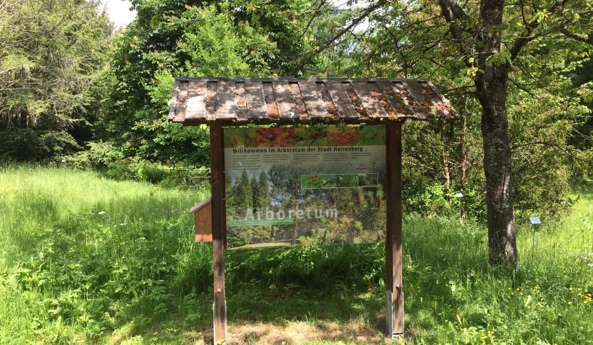 Eine Infotafel im Arboretum Herrenberg steht inmitten &uuml;ppiger gr&uuml;ner Vegetation und B&auml;ume, die eine ruhige Waldatmosph&auml;re schaffen., &copy; Natur.Nah. Sch&ouml;nbuch & Heckeng&auml;u