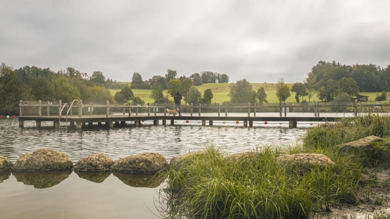 Ein Steg am Aichstruter Stausee, umgeben von grüner Landschaft und Bäumen. Im Vordergrund sind Steine und Gras am Ufer zu sehen., © SMG, Sarah Schmid