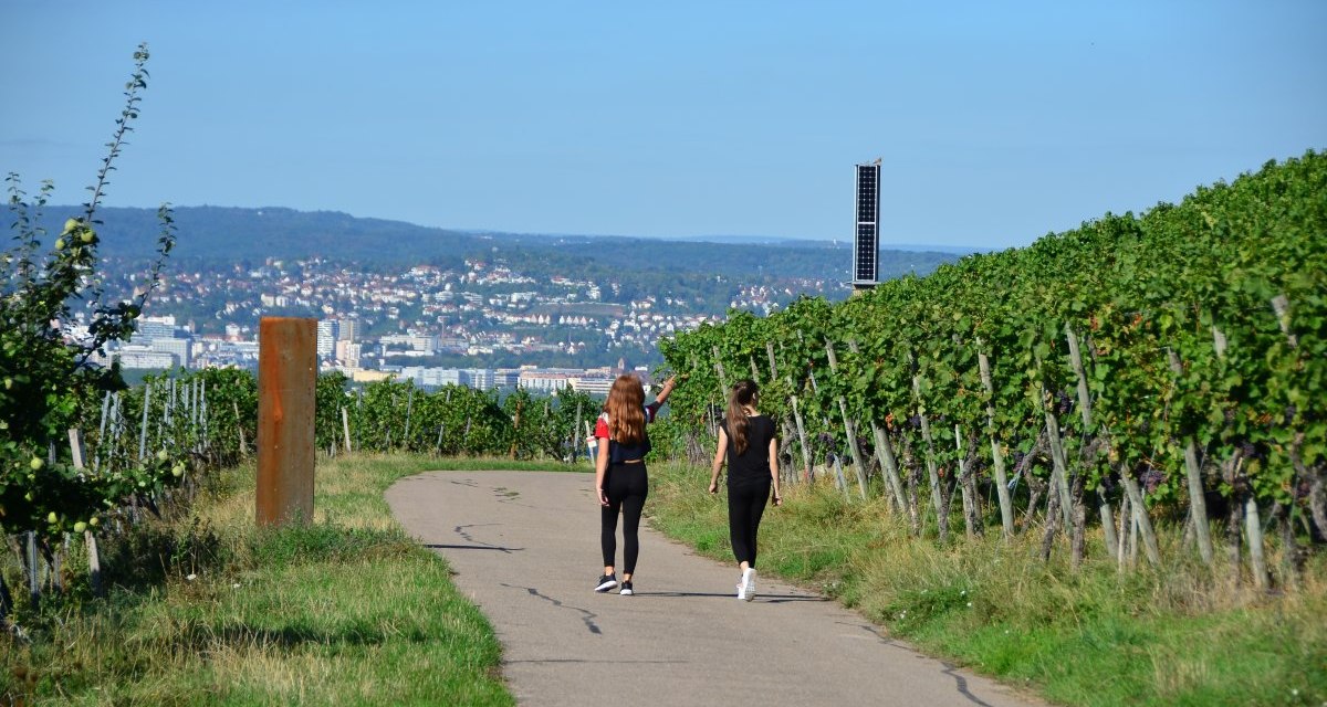 Zwei Personen spazieren auf einem Weg durch gr&uuml;ne Weinberge. Im Hintergrund ist eine Stadtlandschaft zu sehen., &copy; Remstal Tourismus e.V.