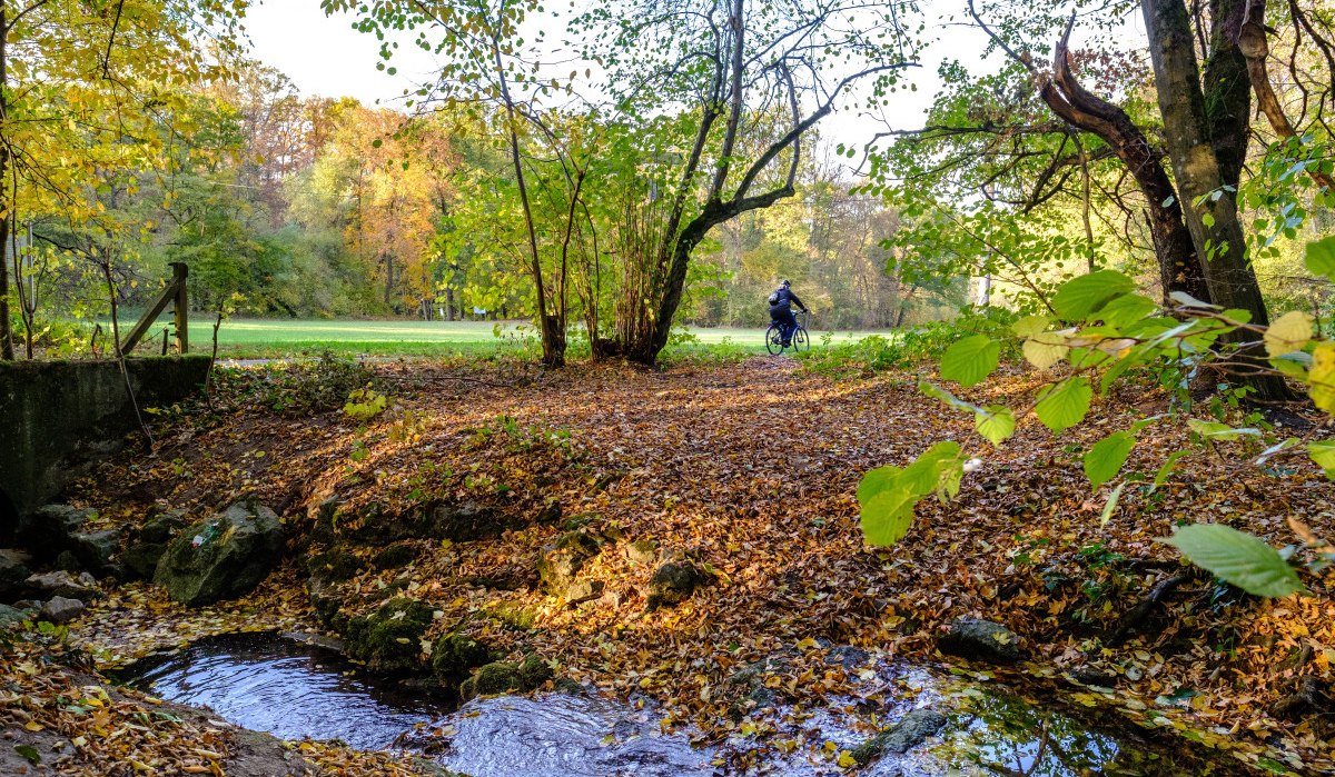 Ein kleiner Bach fließt durch einen herbstlichen Wald. Im Hintergrund fährt ein Radfahrer auf einem Weg. Die Bäume sind in herbstlichen Farben gefärbt., © Remstal Tourismus e.V. Ein kleiner Bach fließt durch einen herbstlichen Wald. Im Hintergrund fährt ein Radfahrer auf einem Weg. Die Bäume sind in herbstlichen Farben gefärbt., © Remstal Tourismus e.V.
