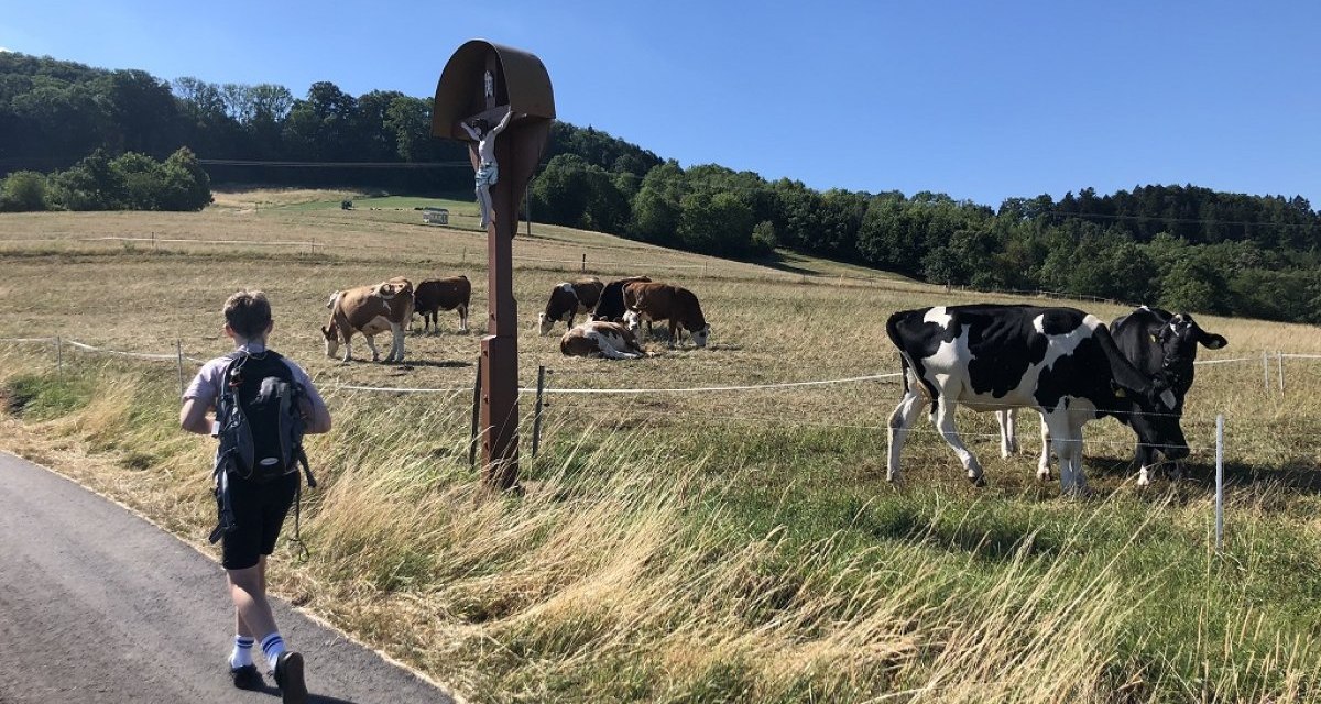 Ein Wanderer auf einem Weg neben einer Weide mit K&uuml;hen und einem Kruzifix, unter blauem Himmel., &copy; Touristik und Marketing GmbH