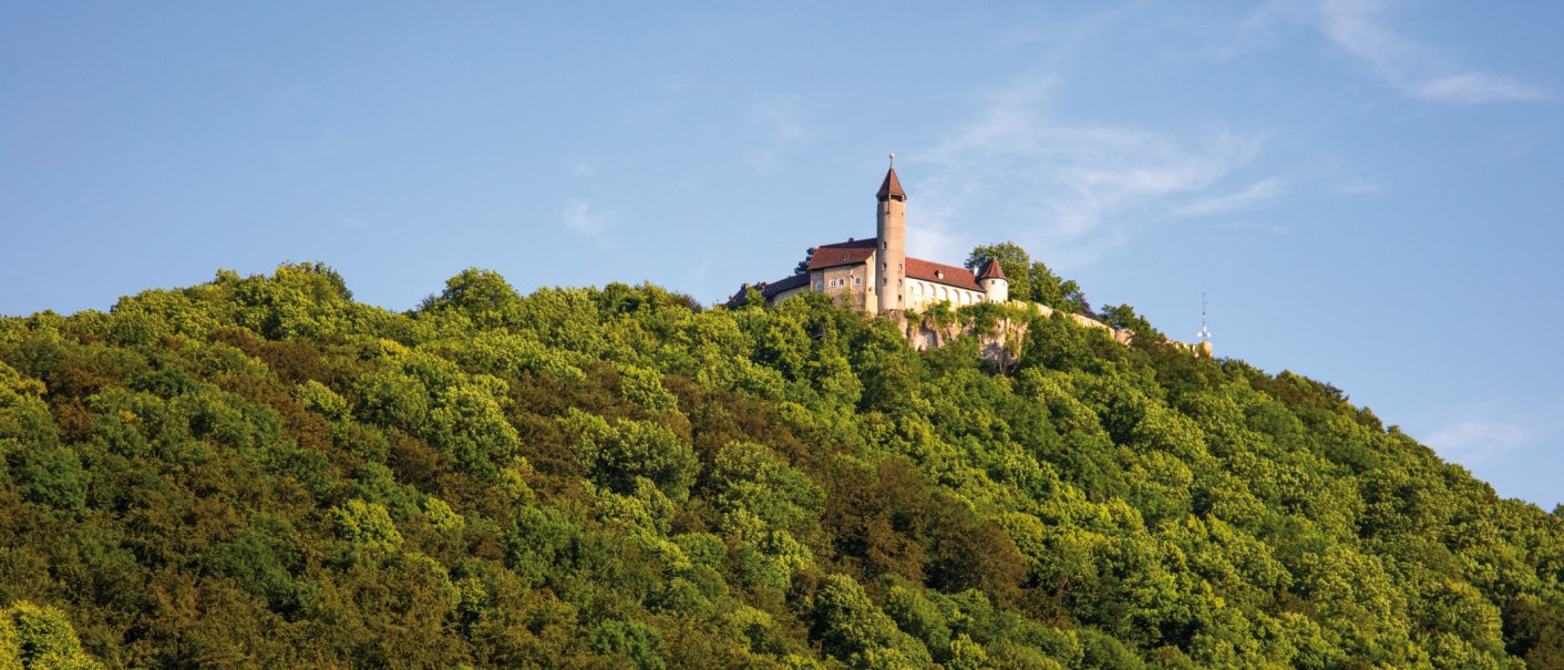 Burg Teck thront majestätisch auf einem bewaldeten Hügel, umgeben von dichtem Grün und unter einem klaren blauen Himmel., © SMG Achim Mende