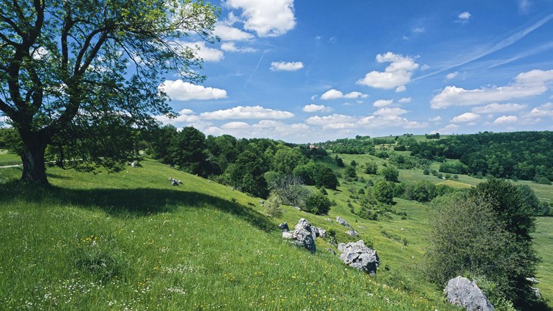 Landschaft im Randecker Maar Landschaft im Randecker Maar