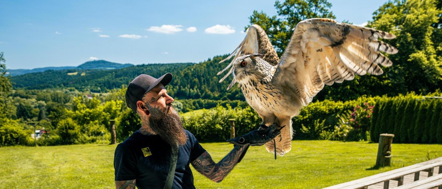 Ein Mann mit Bart und Tattoos hält einen Uhu auf seinem Arm. Im Hintergrund ist eine grüne Landschaft mit Bäumen und Hügeln zu sehen., © Stuttgart-Marketing GmbH, Sarah Schmid Ein Mann mit Bart und Tattoos hält einen Uhu auf seinem Arm. Im Hintergrund ist eine grüne Landschaft mit Bäumen und Hügeln zu sehen., © Stuttgart-Marketing GmbH, Sarah Schmid