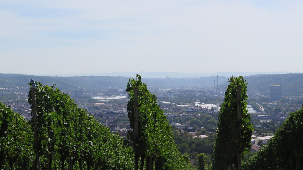 Weinreben im Vordergrund, dahinter eine Stadt in einem Tal, umgeben von Hügeln und einem klaren Himmel., © Stuttgart-Marketing GmbH Weinreben im Vordergrund, dahinter eine Stadt in einem Tal, umgeben von Hügeln und einem klaren Himmel., © Stuttgart-Marketing GmbH