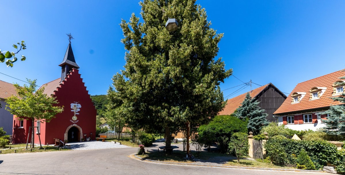 Rote Kapelle mit Glockenturm in Herdtlinsweiler, umgeben von Bäumen und traditionellen Häusern unter blauem Himmel., © Foto Thomas Zehnder Rote Kapelle mit Glockenturm in Herdtlinsweiler, umgeben von Bäumen und traditionellen Häusern unter blauem Himmel., © Foto Thomas Zehnder