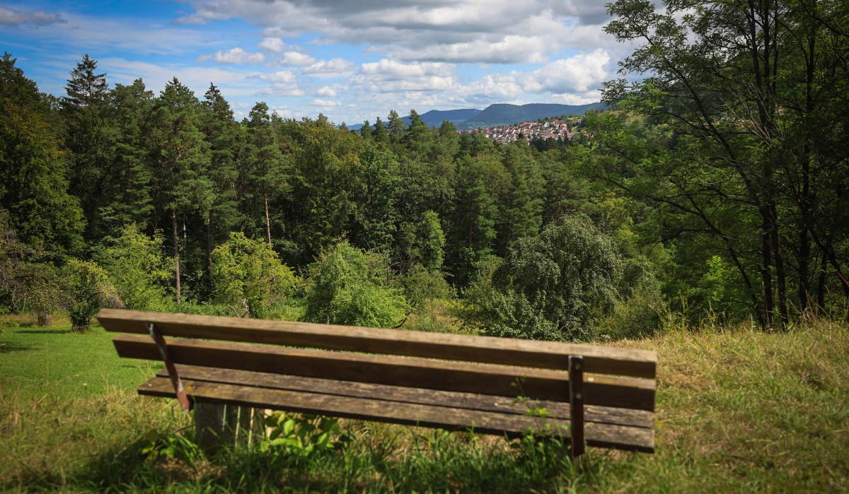 Holzbank auf Wiese, Blick auf dichten Wald und entfernte Stadt, bewölkter Himmel.
