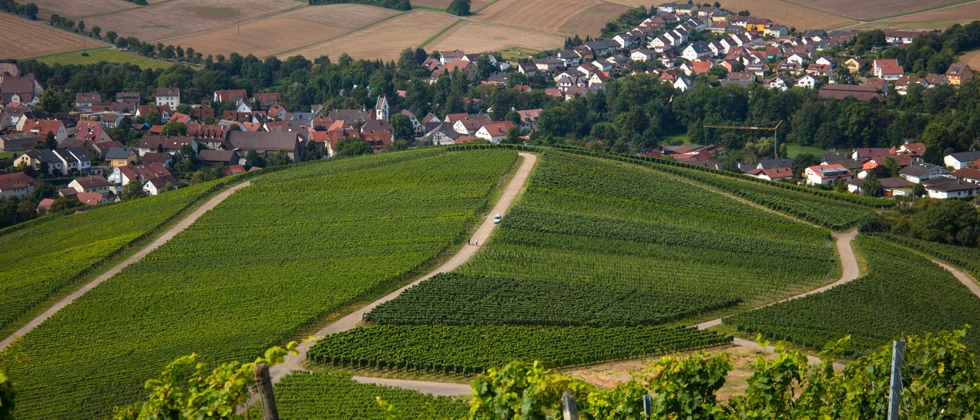Weinberge im Vordergrund, ein Dorf mit roten D&auml;chern im Hintergrund. Eine Stra&szlig;e schl&auml;ngelt sich durch die gr&uuml;nen Felder., &copy; Stuttgart-Marketing GmbH