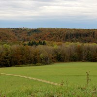 Weidefläche Ulmer Eberstetten, © Bad Urach Tourismus