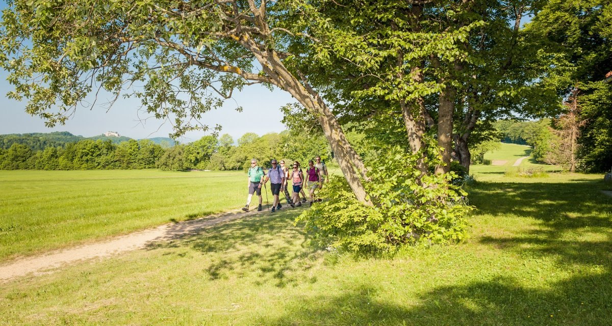 Eine Gruppe von Wanderern spaziert auf einem Pfad durch eine grüne Landschaft mit Bäumen und Wiesen., © hochgehberge Eine Gruppe von Wanderern spaziert auf einem Pfad durch eine grüne Landschaft mit Bäumen und Wiesen., © hochgehberge