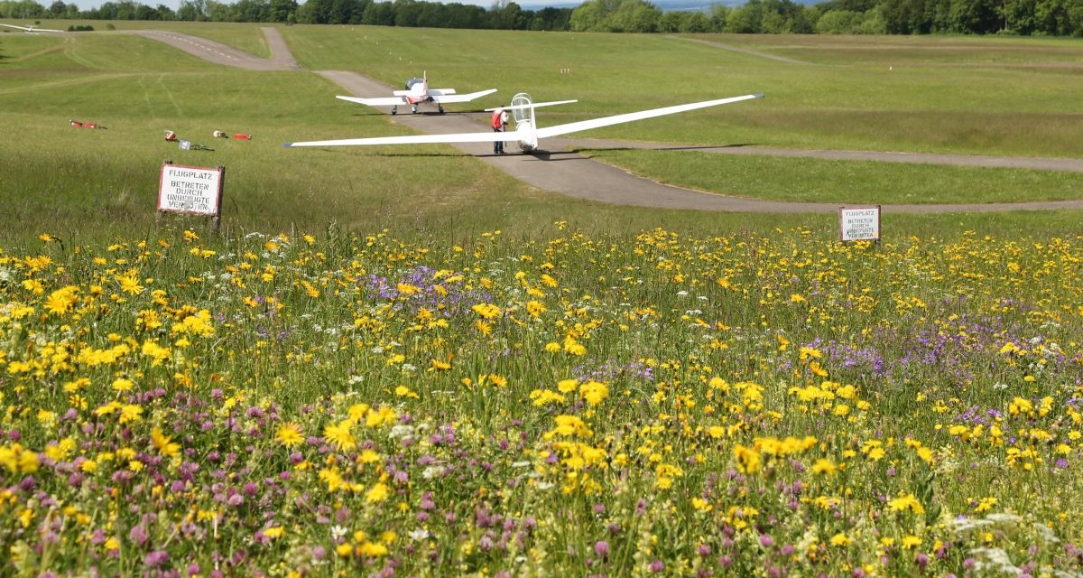 Kaltes Feld Segelflugplatz Hornberg, © Walter Laible Kaltes Feld Segelflugplatz Hornberg, © Walter Laible
