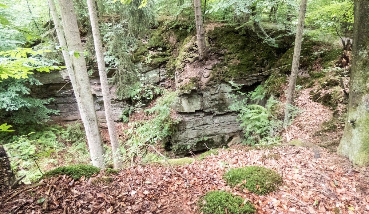 Aufgelassene Steinbr&uuml;che, &copy; Natur.Nah. Sch&ouml;nbuch & Heckeng&auml;u