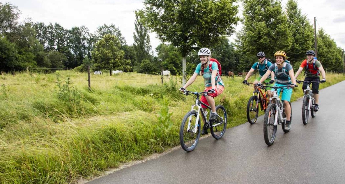 Vier Radfahrer fahren auf einer ländlichen Straße, umgeben von grünen Wiesen und Bäumen. Sie tragen Helme und sportliche Kleidung., © Schwäbische Alb Tourismusverband e.V.