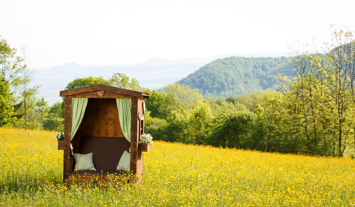 Ein hölzerner Sitzkorb auf einer blühenden Wiese mit gelben Blumen, umgeben von grünen Hügeln und Bäumen., © Landkreis Göppingen