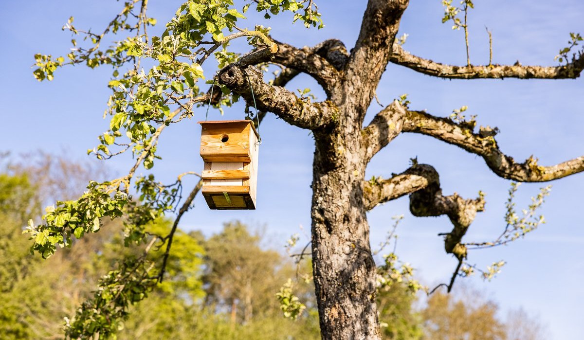 Vogelhäusschen bei Hohenhaslach, © lifecyclemag.de Vogelhäusschen bei Hohenhaslach, © lifecyclemag.de