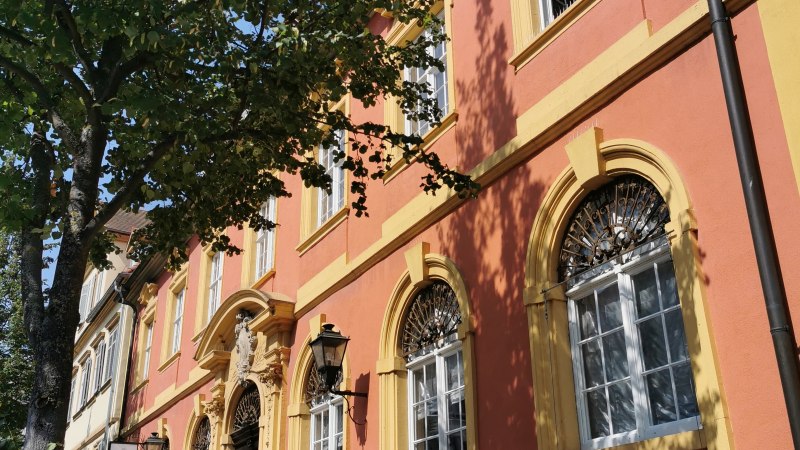 Historisches Geb&auml;ude mit roter Fassade und gelben Fensterrahmen, flankiert von B&auml;umen. Die Sonne wirft Schatten auf den Gehweg., &copy; TELB
