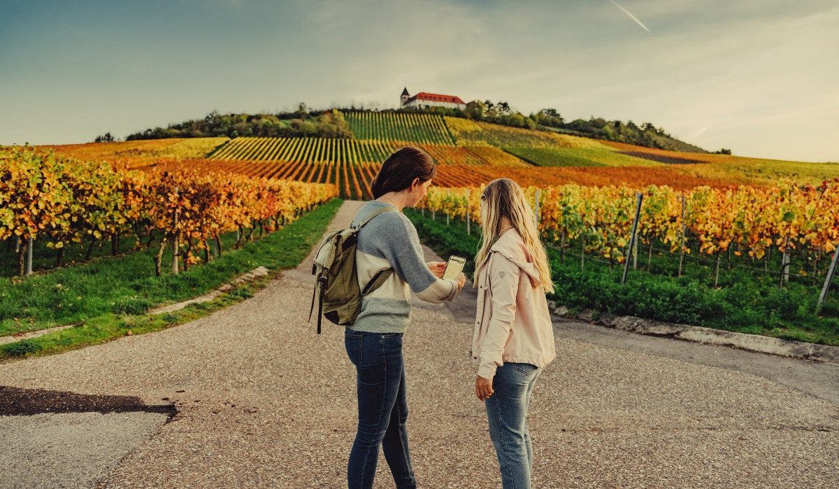 Unterwegs am Michaelsberg | Cleebronn, &copy; Touristikgemeinschaft HeilbronnerLand e.V.