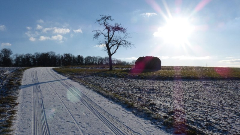 Ein verschneiter Weg mit Fußspuren führt an einem kahlen Baum vorbei. Die Sonne scheint hell am blauen Himmel., © Land der 1000 Hügel - Kraichgau-Stromberg