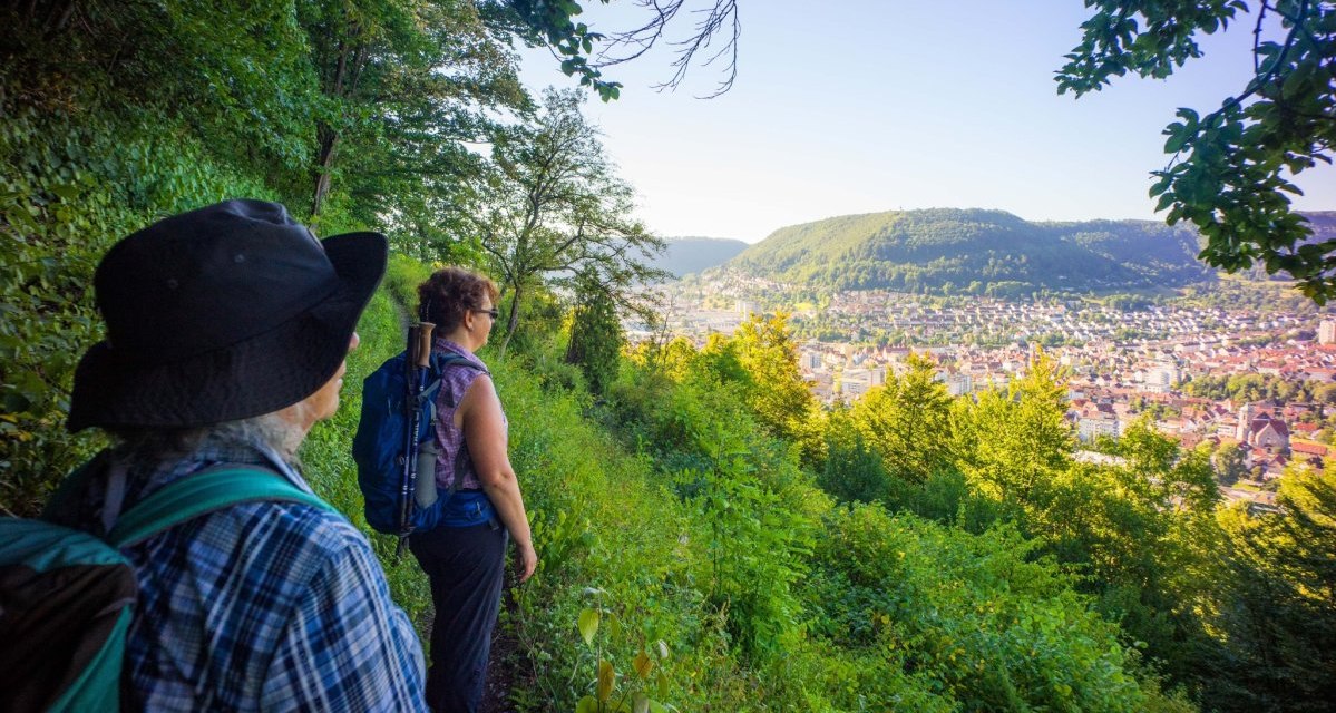 Panoramaweg am Geislinger Tegelberg, Abschnitt des Albtraufgängers, © Stadt Geislingen an der Steige Panoramaweg am Geislinger Tegelberg, Abschnitt des Albtraufgängers, © Stadt Geislingen an der Steige