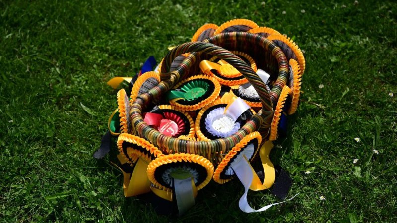 29. Ludwigsburger Dressurturnier, 12.-14. Juni 2026 &ndash; Schlossdom&auml;ne Monrepos, &copy; &copy; Knut G&auml;rtner | hangarsieben.de