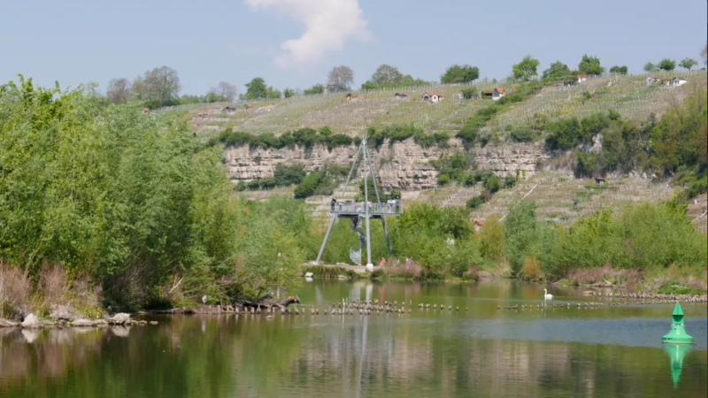 Naturerlebnis Neckar: Kanutour mit Ökologieführung im Biotop Zugwiesen, © Die Zugvögel - Kanu-Tours und mehr