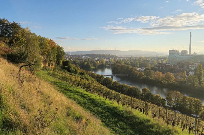 Hügelige Landschaft mit Weinreben, Fluss und Stadt im Hintergrund bei Sonnenaufgang., © Cool-Tours StattReisen