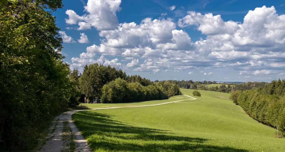Ein Feldweg schlängelt sich durch grüne Wiesen, umgeben von Bäumen, unter einem blauen Himmel mit weißen Wolken., © Foto Thomas Zehnder Ein Feldweg schlängelt sich durch grüne Wiesen, umgeben von Bäumen, unter einem blauen Himmel mit weißen Wolken., © Foto Thomas Zehnder