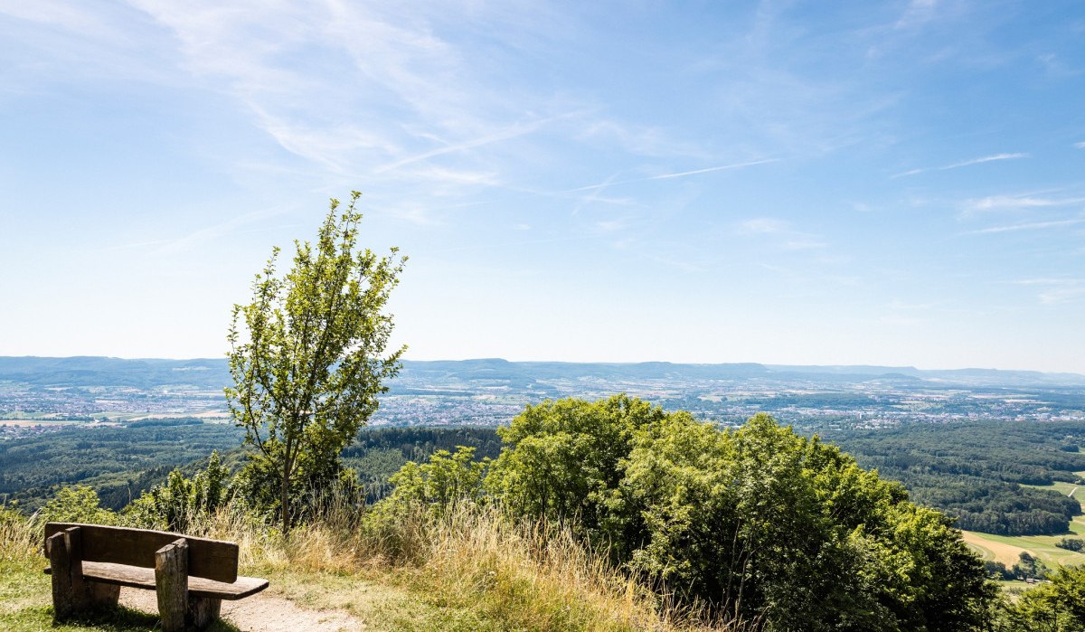 Holzbank und Baum am Aussichtspunkt Hohenstaufen mit weitem Blick über grüne Hügel und Täler unter blauem Himmel., © TMBW