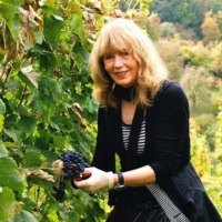 Eine Frau mit blonden Haaren erntet Trauben in einem grünen Weinberg. Sie trägt Handschuhe und lächelt in die Kamera., © Elsbeth Koch