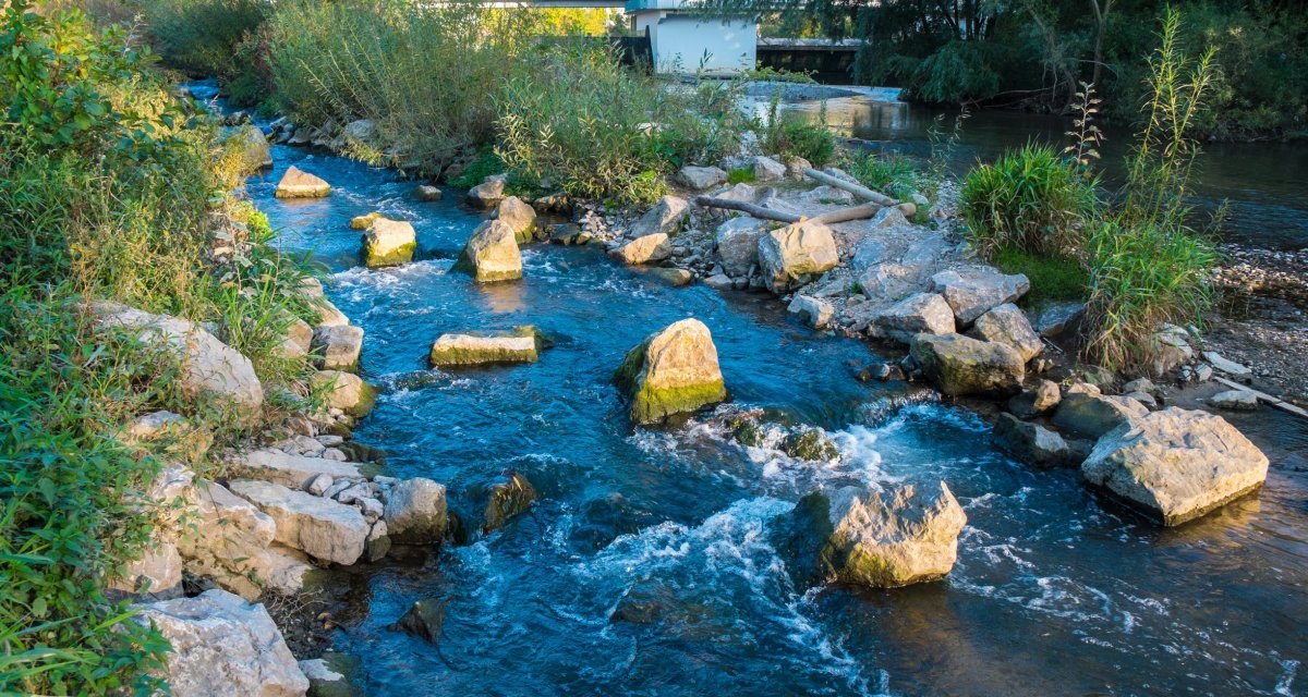 Fluss mit Steinen und Pflanzen, die eine Fischertreppe am Häckerwehr bilden. Im Hintergrund eine Brücke und Bäume., © Remstal Tourismus e.V. Fluss mit Steinen und Pflanzen, die eine Fischertreppe am Häckerwehr bilden. Im Hintergrund eine Brücke und Bäume., © Remstal Tourismus e.V.