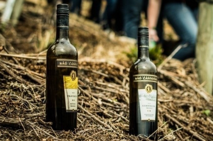 Zwei Weinflaschen auf Waldboden, im Hintergrund unscharfe Personen. Titel: Weinsafari für Gruppen., © Cool-Tours StattReisen Zwei Weinflaschen auf Waldboden, im Hintergrund unscharfe Personen. Titel: Weinsafari für Gruppen., © Cool-Tours StattReisen