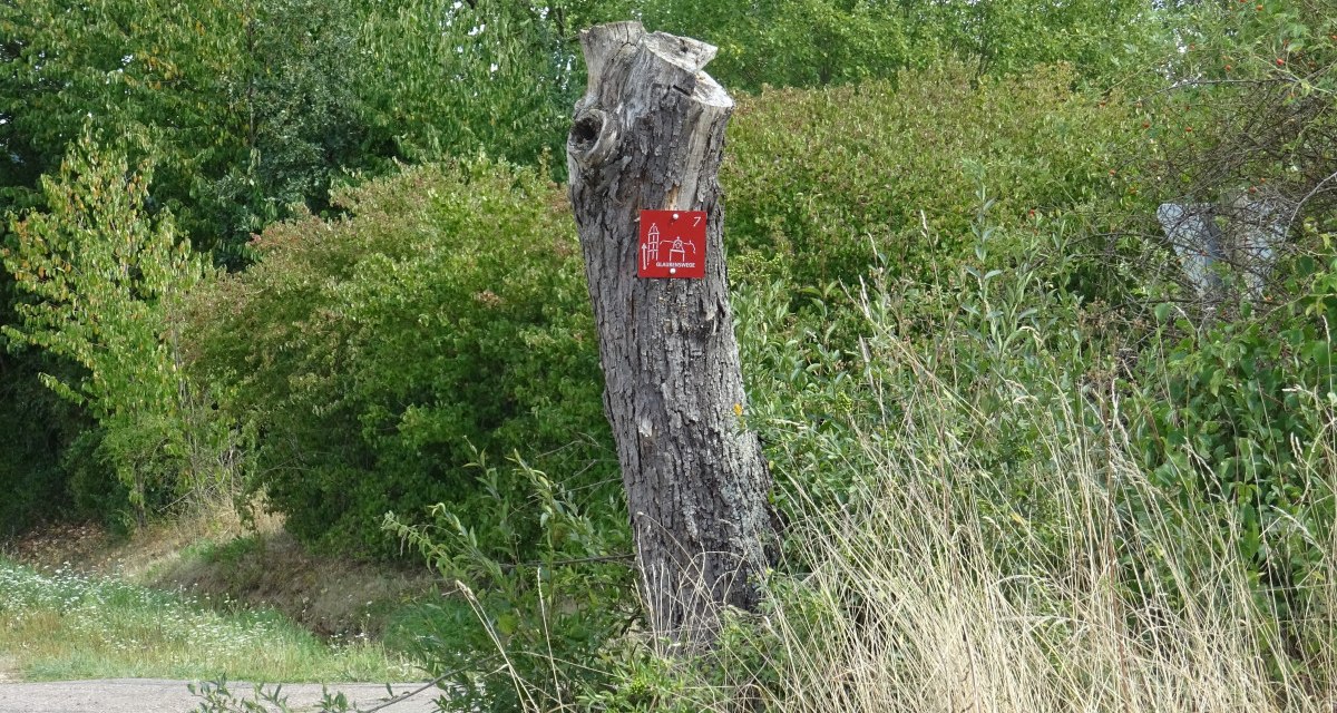 Ein Baumstumpf mit einem roten Schild steht am Rand eines Weges, umgeben von grünen Büschen und Gras., © Foto: Cornelia Steinbach Ein Baumstumpf mit einem roten Schild steht am Rand eines Weges, umgeben von grünen Büschen und Gras., © Foto: Cornelia Steinbach