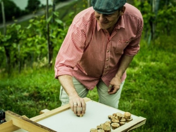 Ein Mann in kariertem Hemd und Mütze spielt ein Spiel mit Holzscheiben auf einem Tisch im Weinberg., © Cool-Tours StattReisen Ein Mann in kariertem Hemd und Mütze spielt ein Spiel mit Holzscheiben auf einem Tisch im Weinberg., © Cool-Tours StattReisen