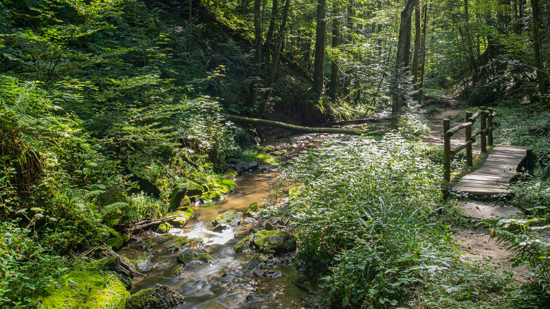 FeenSpuren - Drei Schluchten, © Jan Bürgermeister