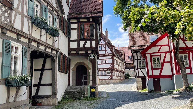 Fachwerkhäuser in der Sindelfinger Altstadt, mit blauen Fensterläden und Blumen. Kopfsteinpflasterstraße, Bäume und blauer Himmel im Hintergrund., © Wirtschaftsförderung Sindelfingen GmbH